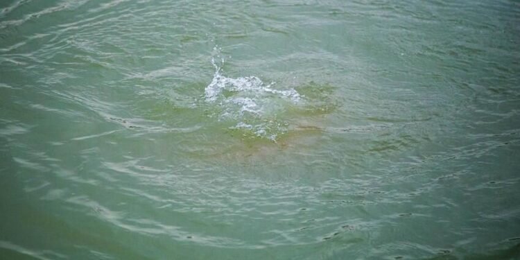 50 yaşlı kişi su kanalında boğularaq öldü