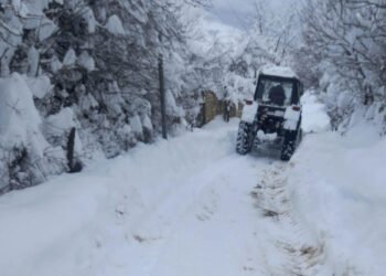 Lerikdə vəziyyət hələ də acınacaqlıdır – FOTOlar