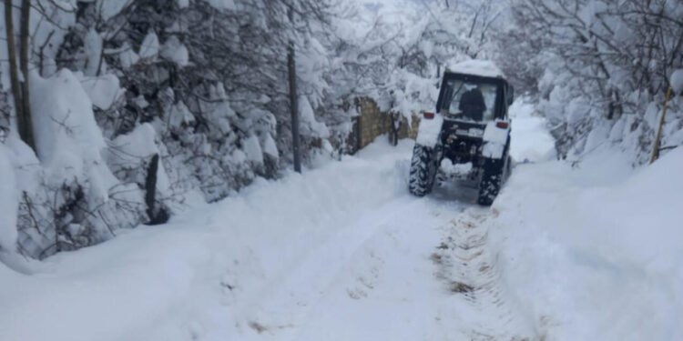 Lerikdə vəziyyət hələ də acınacaqlıdır - FOTOlar