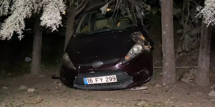 Avtomobil ağaca çırpıldı: 2 yaralı