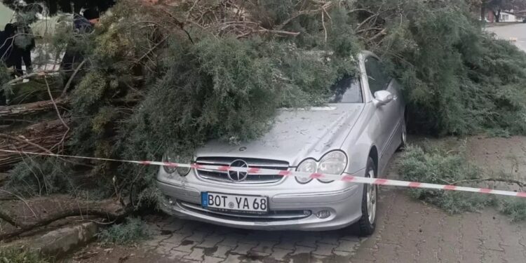 Şiddətli külək fəsadlara səbəb oldu