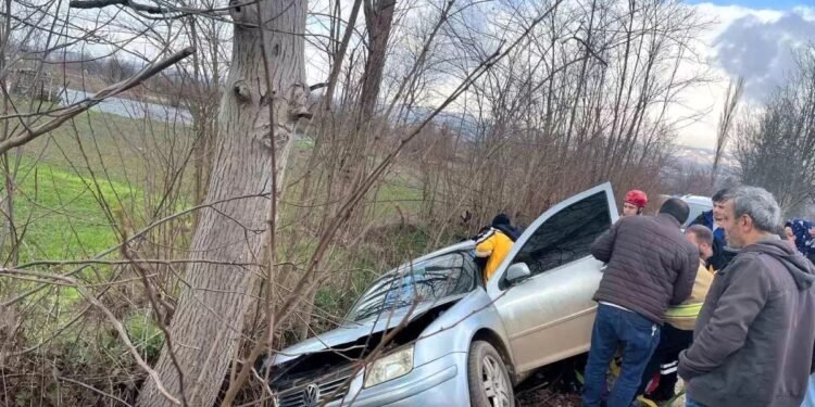 Avtomobil ağaca çırpıldı: 1 yaralı