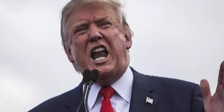 Tramp Danimarka baş nazirini 45 dəqiqə danlayıb