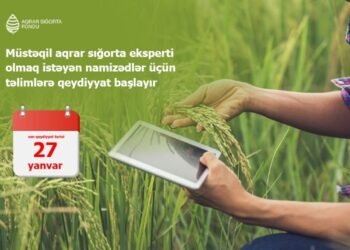 Müstəqil ekspert sertifikatı almaq istəyən namizədlər üçün növbəti təlimlərə qeydiyyat başlayır