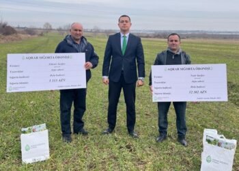 Aqrar Sığorta Fondu Şəmkir və Samuxda fermerlərə sığorta ödənişləri edib