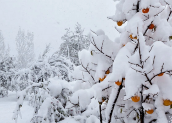 Bu bölgəyə 30 sm qar yağdı