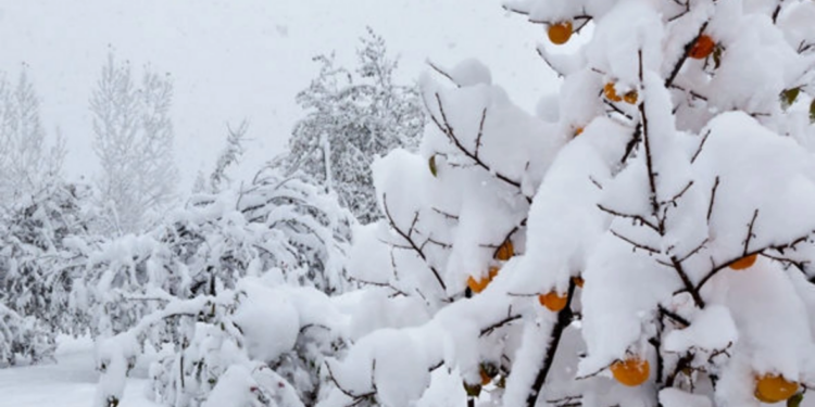 Bu bölgəyə 30 sm qar yağdı