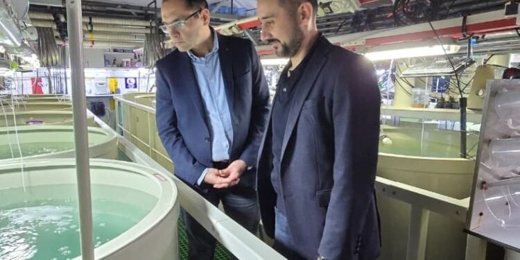 Azərbaycan nümayəndə heyəti İsrailin akvakultura və innovasiyalar sahəsində aparıcı mərkəzlərinin fəaliyyəti ilə tanış olub