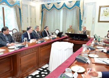 Pakistanın Baş naziri “ASAN xidmət”in sədrini qəbul edib