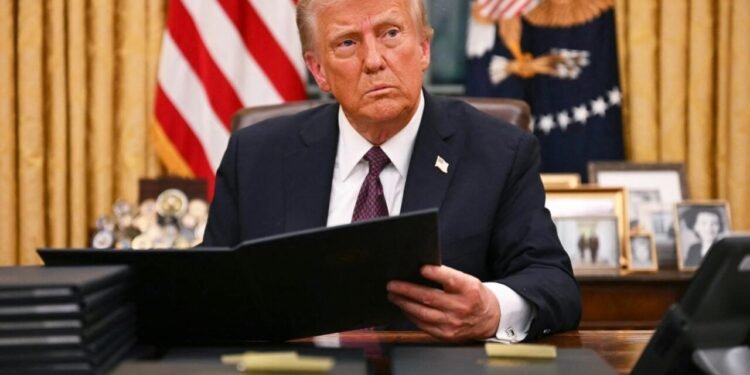 Hamı Sülh Şurasının bir hissəsi olmaq istəyir - Tramp