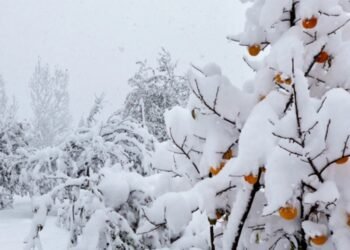 Sabah qar yağacaq, 16 dərəcə şaxta olacaq