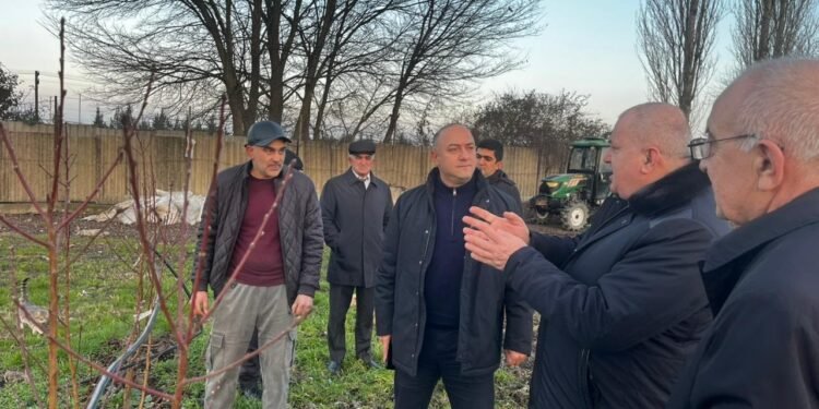 Kənd Təsərrüfatı Nazirliyinin Aparat rəhbəri Azad Cəfərli Xaçmazda vətəndaşları qəbul edib, fermerlərlə görüşüb