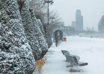 Fevral ayı ilə bağlı xəbərdarlıq: Kəskin soyuqlar düşəcək, şaxta olacaq, qar yağacaq