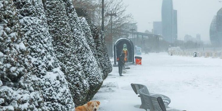 Fevral ayı ilə bağlı xəbərdarlıq: Kəskin soyuqlar düşəcək, şaxta olacaq, qar yağacaq
