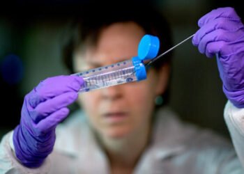 Peyvəndi və müalicəsi olmayan virus yayılır