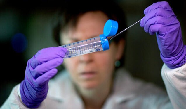 Peyvəndi və müalicəsi olmayan virus yayılır