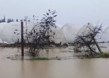 Cəlilabadda intensiv yağışlar ciddi fəsadlara yol açıb