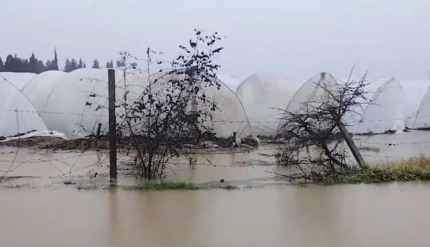 Cəlilabadda intensiv yağışlar ciddi fəsadlara yol açıb