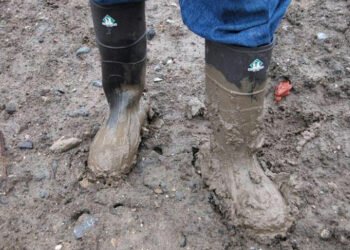 “Kəndimizin yoluna görə bizə qız verən yoxdur”