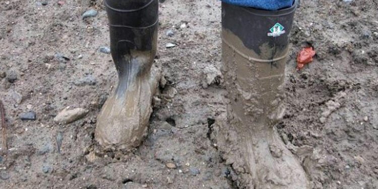 “Kəndimizin yoluna görə bizə qız verən yoxdur”