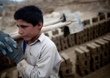 Uşaqların əməyinə nəzarət gücləndirildi – Valideyn razılığı tələb olunur