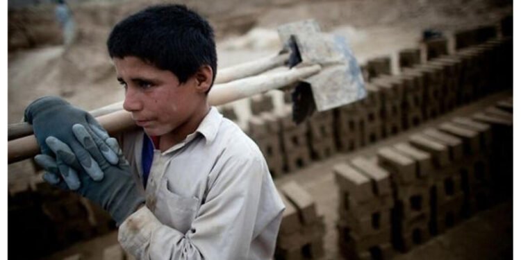 Uşaqların əməyinə nəzarət gücləndirildi – Valideyn razılığı tələb olunur