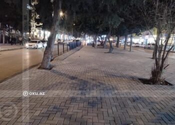 Əhmədlidə tikintiyə icazə verilməyən ərazidə ağaclar kəsildi, yerinə daş döşəndi – FOTOLAR