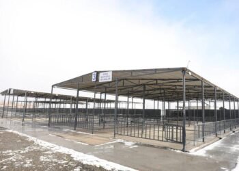 Ağcabədi heyvan bazarının fəaliyyətinə icazə verilib