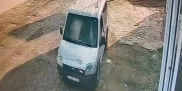 Avtomobil keçi sürüsünə çırpıldı