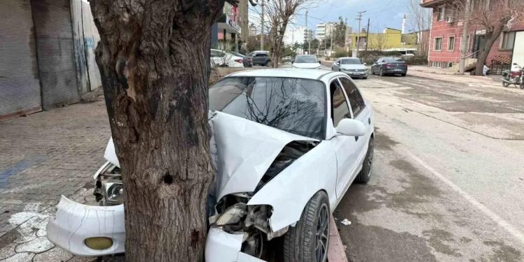 17 yaşlı sürücü avtomobili ağaca çırpıldı