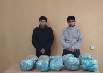 Narkotik vasitənin ölkə ərazisinə keçirilməsinin qarşısı alınıb