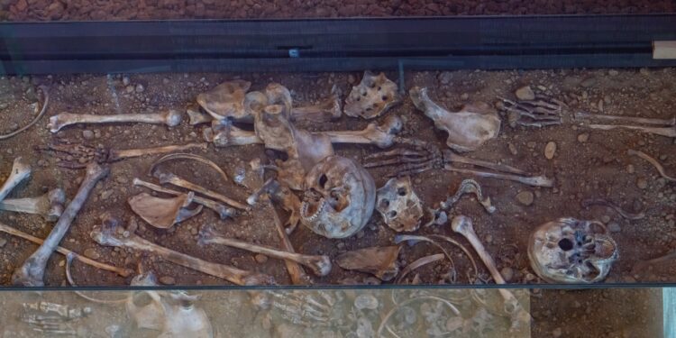 İstanbulun mozaika irsini Zeytinburnu Mozaika Muzeyində kəşf edin