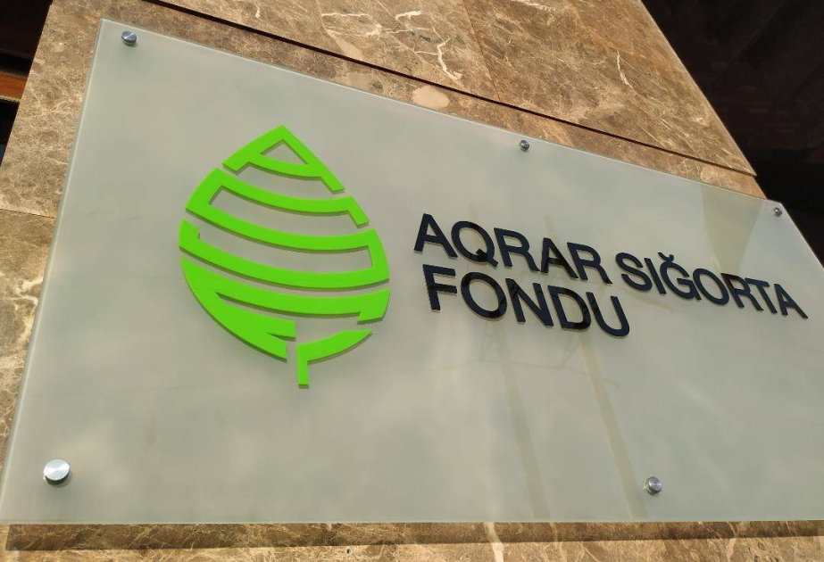 featured-image-32024