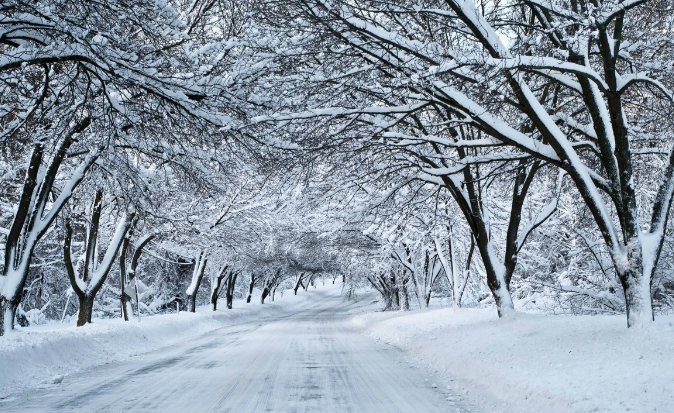 featured-image-32037