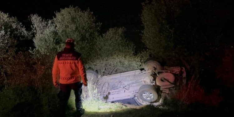 Sərxoş sürücünün idarə etdiyi avtomobil zeytunluğa aşdı