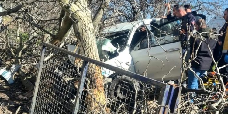Yoldan çıxan avtomobil ağaclara çırpıldı: 2 ölü, 1 ağır yaralı