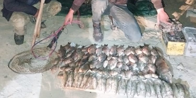 Qanunsuz balıq ovu faktı aşkarlanmışdır