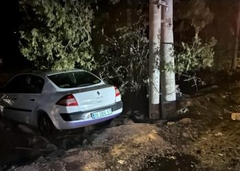 Avtomobil yol kənarınadakı ağaca çırpıldı: 4 yaralı