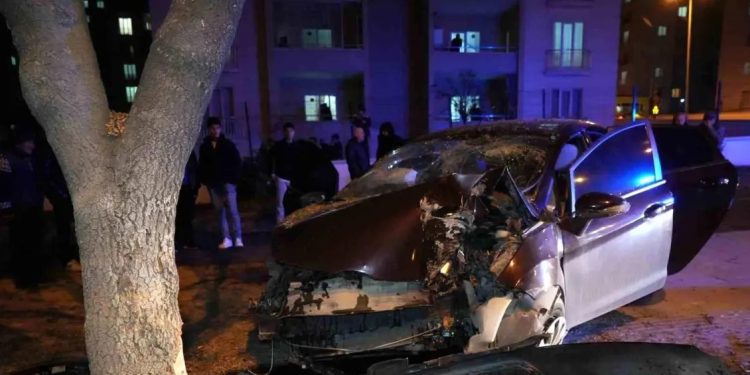 Avtomobil ağaca çırpıldı: 3 yaralı