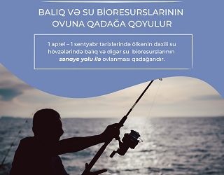 Aprelin 1-dən daxili su hövzələrində sənaye məqsədilə balıq və digər su bioresurslarının ovu qadağan edilir