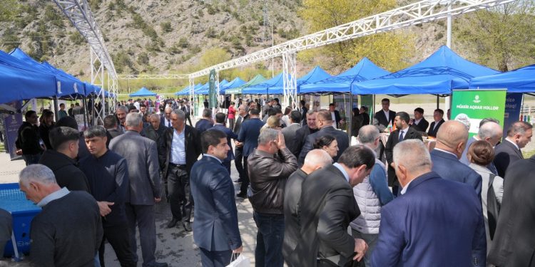 Laçın rayonunda Aqrar Biznes Festivalı keçirilib