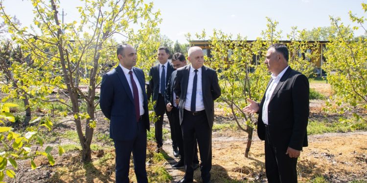 “Aqroservis” ASC-nin İdarə Heyətinin sədri Mehman Veysəlov Bərdədə vətəndaşları qəbul edib, təsərrüfatlara baş çəkib