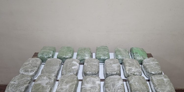 Külli miqdarda narkotik vasitənin ölkə ərazisinə keçirilməsinin qarşısı alınmışdır