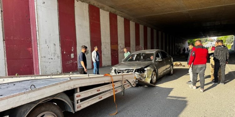 Minik avtomobili sürüyə çırpıldı: 17 qoyun tələf oldu