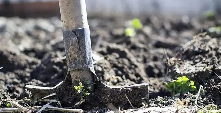Aİ gübrə planı hazırladı