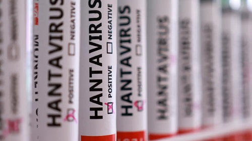 Hantavirus narahatlığı azaldı