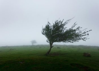 Bakıda güclü külək, dağlıq ərazilərdə duman müşahidə edilir