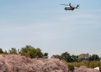 Vaşinqtonda hərbi helikopter təcili eniş etdi