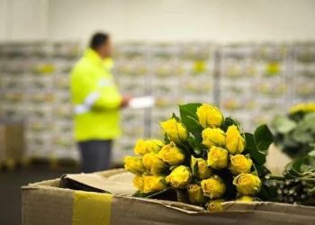 Ermənistandan Rusiyaya göndərilən 39 min məhsul məhv edildi