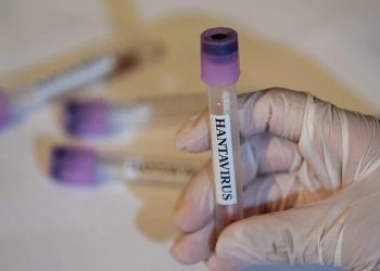 ÜST: Hantavirus epidemiyası başa çatdı